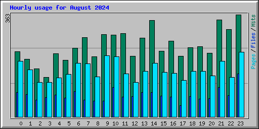 Hourly usage for August 2024